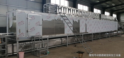 2020年開辦粉條加工廠,買大型紅薯粉絲機設(shè)備要注意哪幾點,這篇超詳細