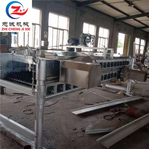 不銹鋼臥式脫毛機供貨商 甘孜臥式脫毛機供貨商 諸城市志誠機械高清圖片 高清大圖