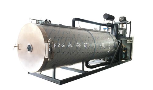 蔬菜凍干技術(shù)應(yīng)用和食品凍干機(jī)