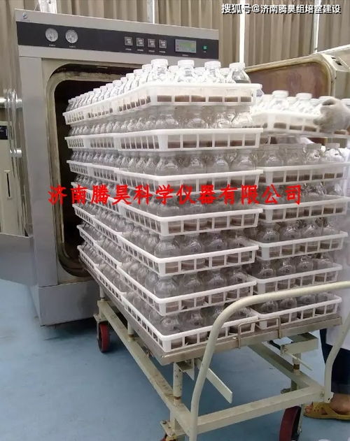 馬鈴薯組培室設計圖及組培儀器設備圖片