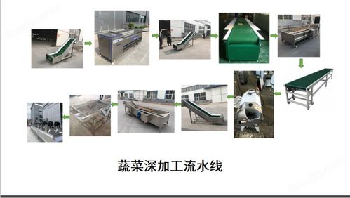 土豆毛輥清洗機 果蔬噴淋式加工流水線
